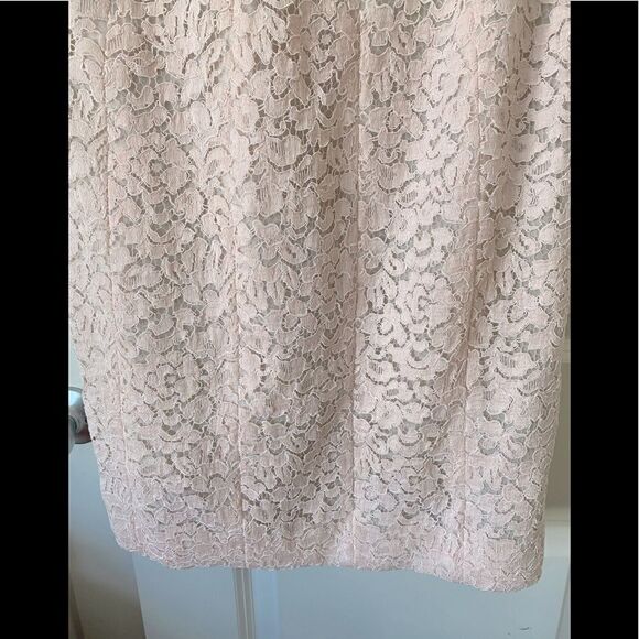 Corded Lace Sheath J. Mendel  color Blush - Picture 7 of 10